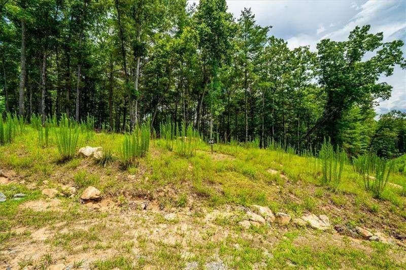 single family residence for sale at 0 Ridge Drive, Morganton, GA 30560 — photo 4
