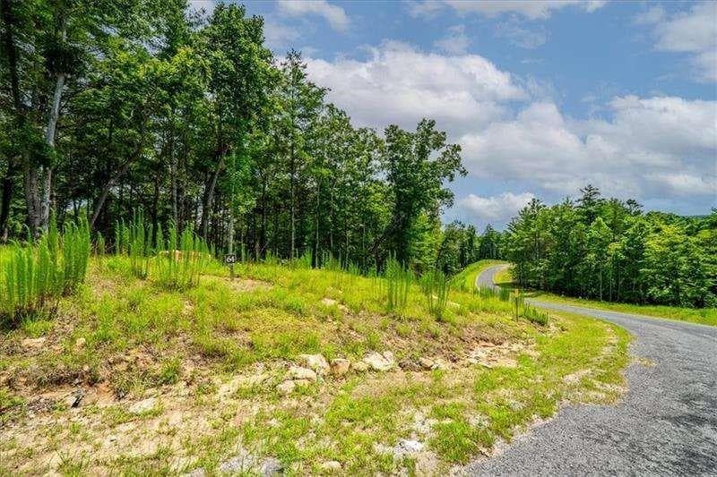 single family residence for sale at 0 Ridge Drive, Morganton, GA 30560 — photo 5