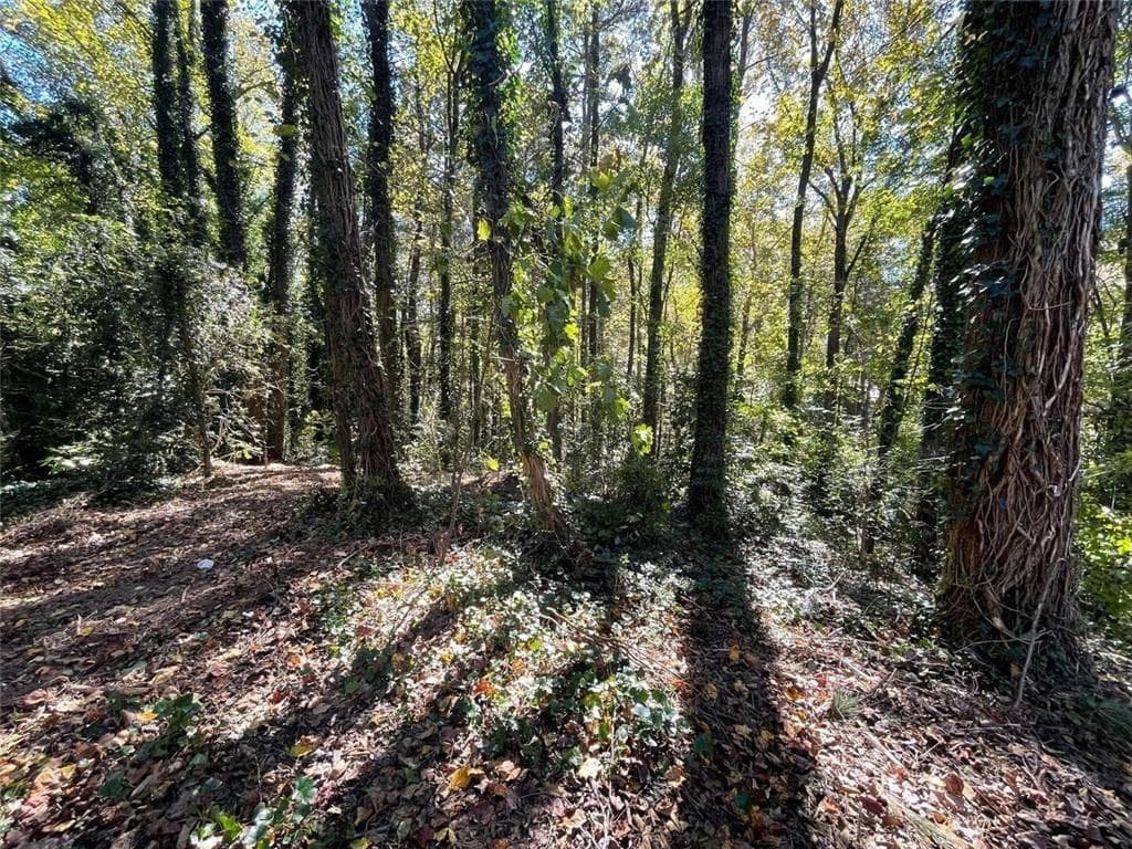 single family residence for sale at 1060 De Leon Drive, Clarkston, GA 30021 — photo 3