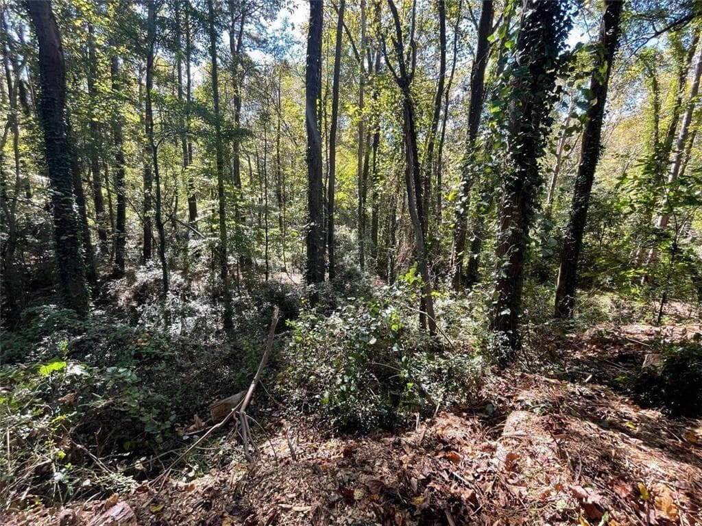single family residence for sale at 1060 De Leon Drive, Clarkston, GA 30021 — photo 4
