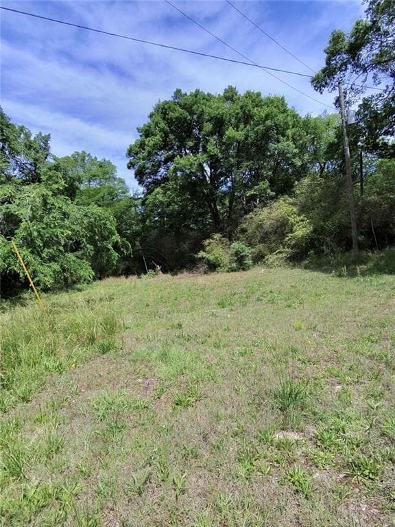 single family residence for sale at 479 Sandytown, Cartersville, GA 30121 — photo 10