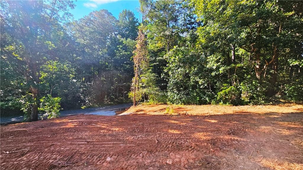 other for sale at Lot 1 Snote Jones Road, Dallas, GA 30132 — photo 8