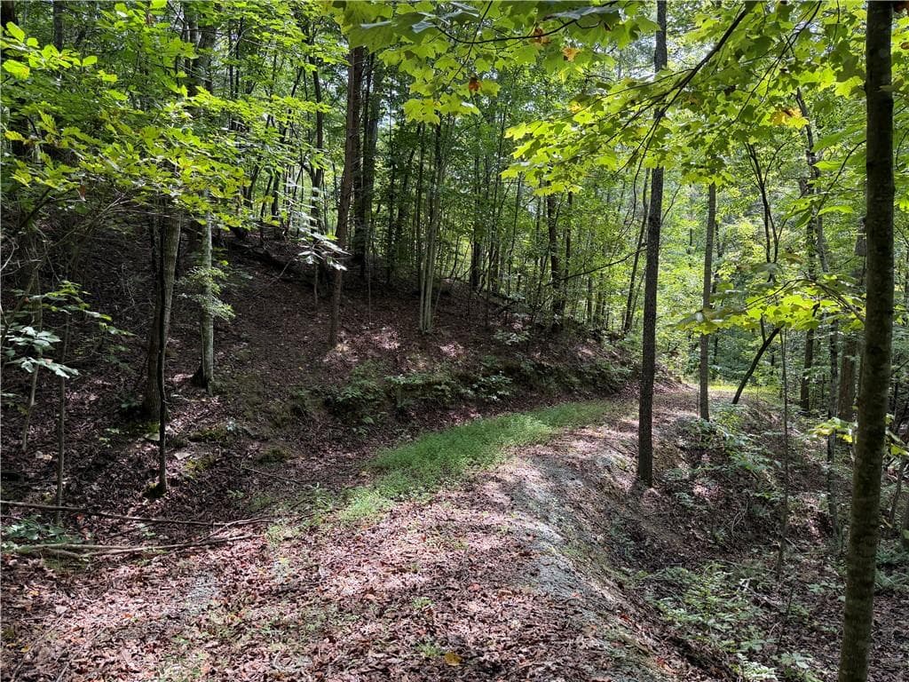 unimproved land for sale at 0 Fuller Mountain Road, Fairmount, GA 30139 — photo 1 of 14