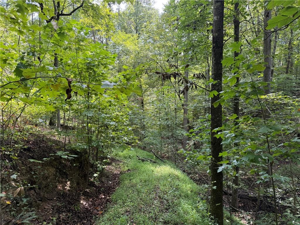 unimproved land for sale at 0 Fuller Mountain Road, Fairmount, GA 30139 — photo 2