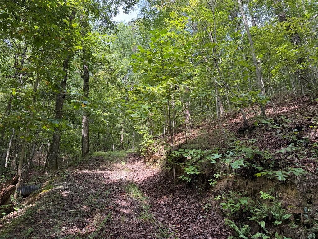 unimproved land for sale at 0 Fuller Mountain Road, Fairmount, GA 30139 — photo 3