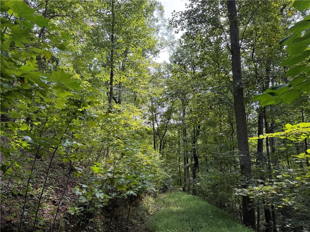 unimproved land for sale at 0 Fuller Mountain Road, Fairmount, GA 30139 — photo 4