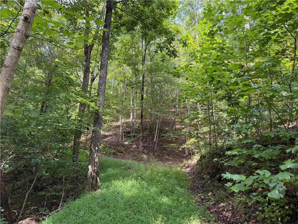 unimproved land for sale at 0 Fuller Mountain Road, Fairmount, GA 30139 — photo 5