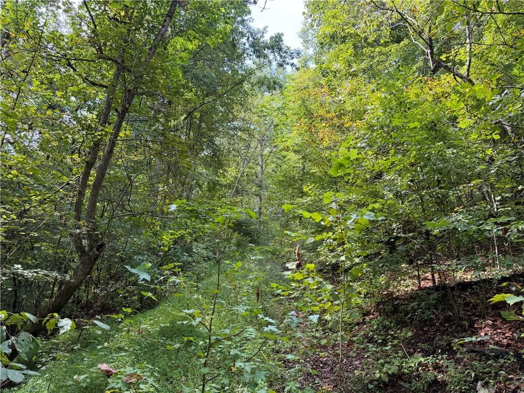 unimproved land for sale at 0 Fuller Mountain Road, Fairmount, GA 30139 — photo 9