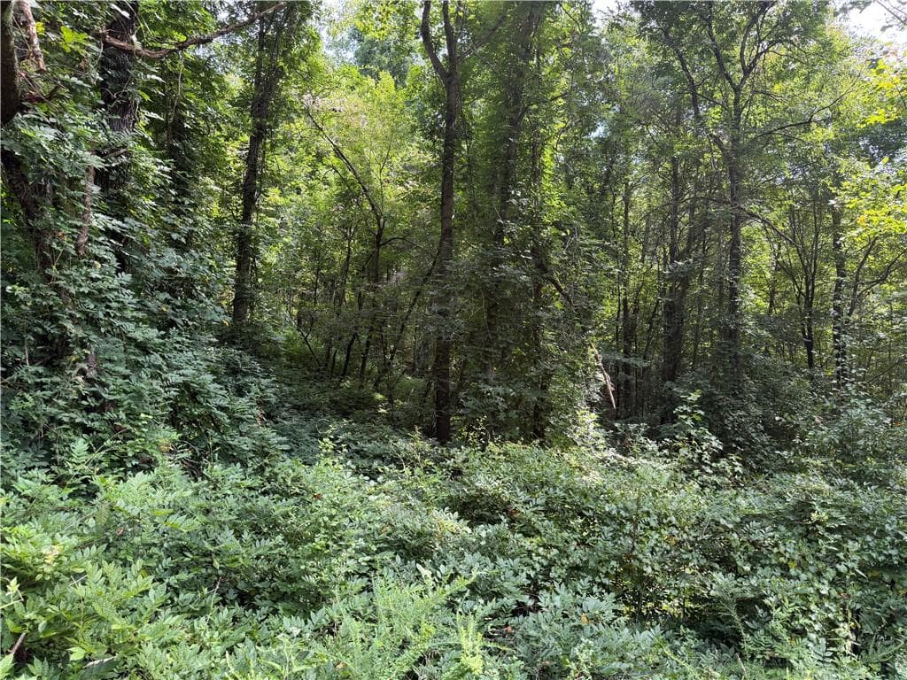 unimproved land for sale at 0 Fuller Mountain Road, Fairmount, GA 30139 — photo 10