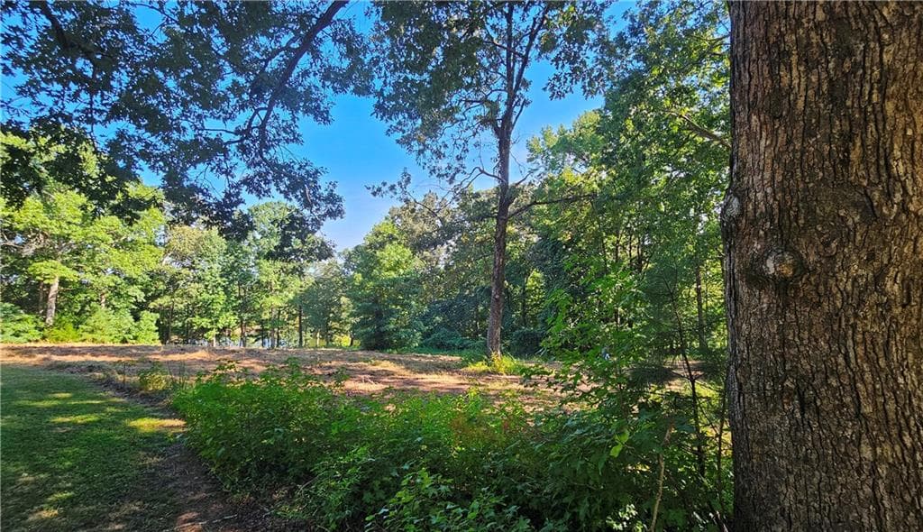 other for sale at Lot 2 Snote Jones Road, Dallas, GA 30132