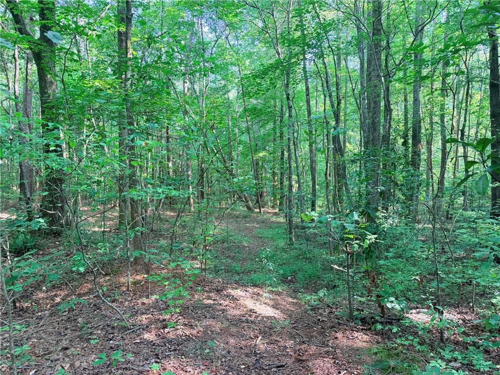 2 bedroom, 1 bathroom single family residence for sale at 6394 Shore Drive, Douglasville, GA 30135 — photo 6