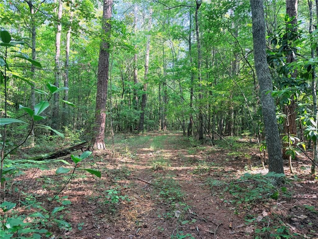 2 bedroom, 1 bathroom single family residence for sale at 6394 Shore Drive, Douglasville, GA 30135 — photo 7
