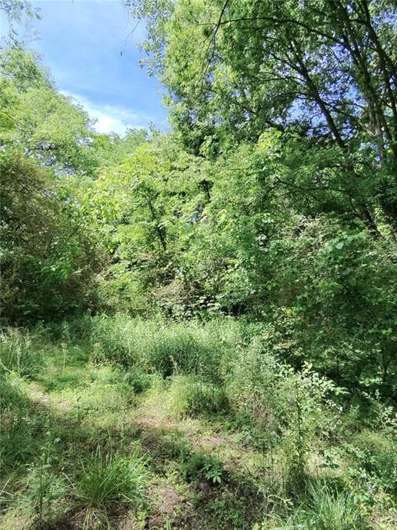 single family residence for sale at 479 Sandtown Road, Cartersville, GA 30121 — photo 10