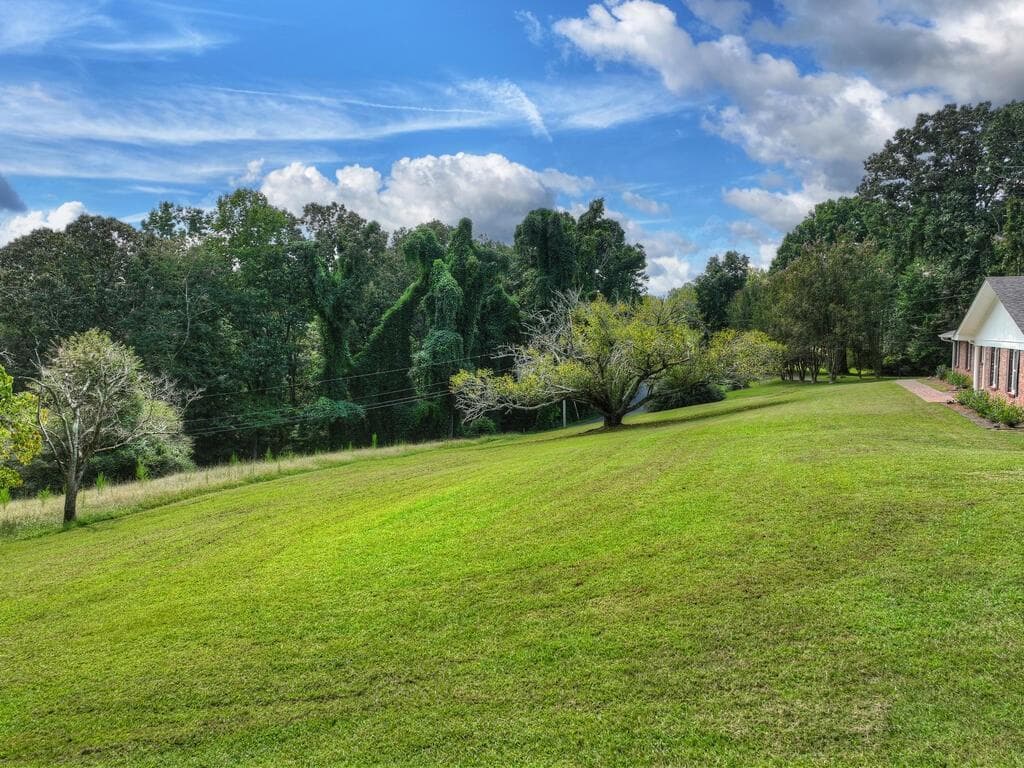 3 bedroom, 3 bathroom, 2,494 sq ft single family residence for sale at 167 Vista Drive, Ellijay, GA 30540 — photo 5