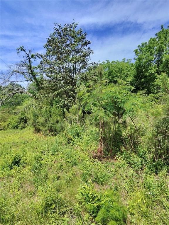 single family residence for sale at 479 Sandtown, Cartersville, GA 30121 — photo 9