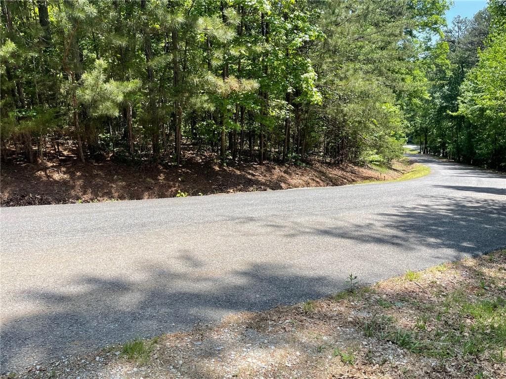 single family residence for sale at TR 2 Chalcrest Way, Cave Spring, GA 30124 — photo 5