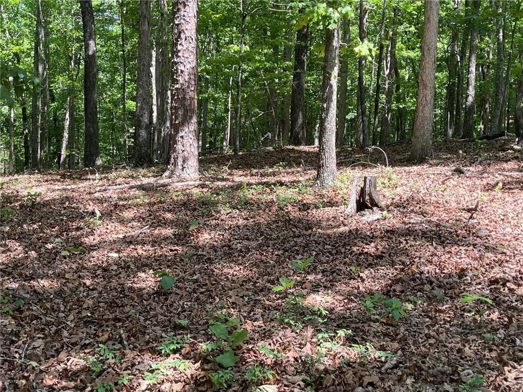 single family residence for sale at TR 2 Chalcrest Way, Cave Spring, GA 30124 — photo 6