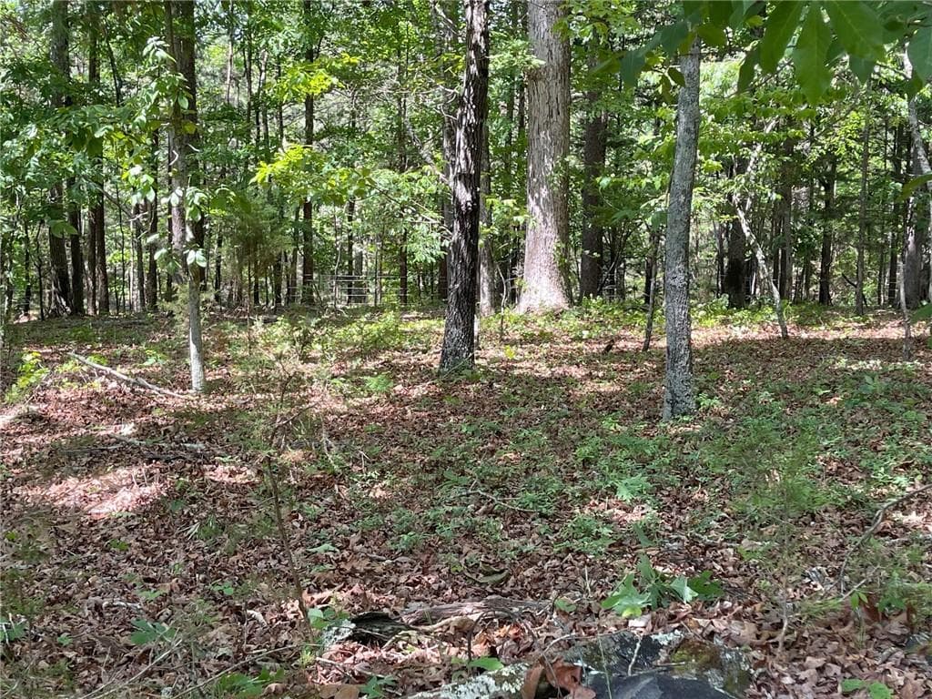 single family residence for sale at TR 2 Chalcrest Way, Cave Spring, GA 30124 — photo 7