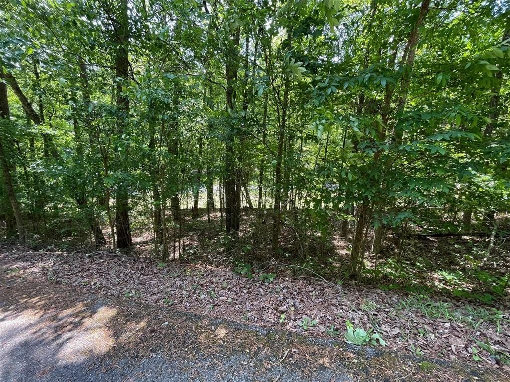 single family residence for sale at TR 2 Chalcrest Way, Cave Spring, GA 30124 — photo 8