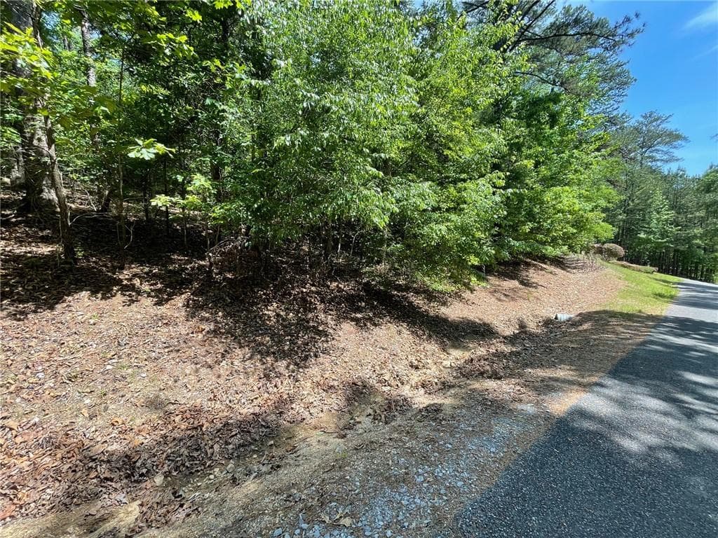 single family residence for sale at TR 2 Chalcrest Way, Cave Spring, GA 30124 — photo 9
