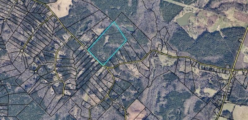 unimproved land for sale at 1458 Pitts Chapel Road, Newborn, GA 30056 — photo 2