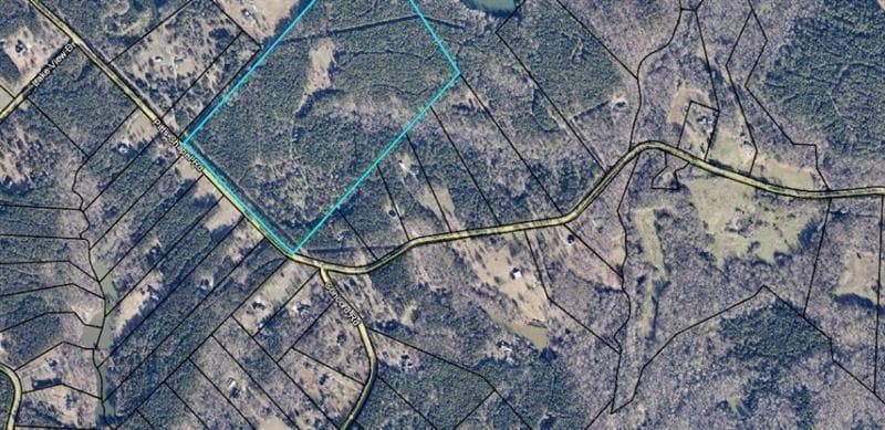 unimproved land for sale at 1458 Pitts Chapel Road, Newborn, GA 30056 — photo 3