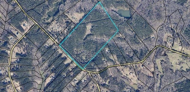 unimproved land for sale at 1458 Pitts Chapel Road, Newborn, GA 30056 — photo 4