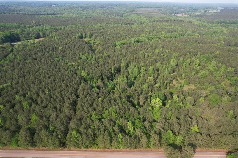 unimproved land for sale at 1458 Pitts Chapel Road, Newborn, GA 30056 — photo 5