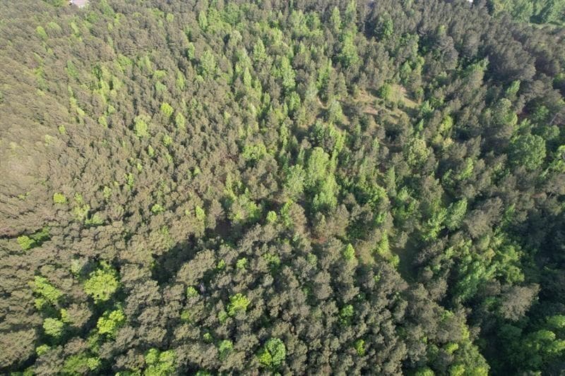 unimproved land for sale at 1458 Pitts Chapel Road, Newborn, GA 30056 — photo 6