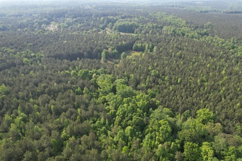 unimproved land for sale at 1458 Pitts Chapel Road, Newborn, GA 30056 — photo 8