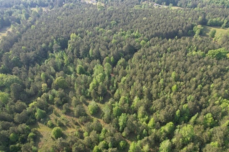 unimproved land for sale at 1458 Pitts Chapel Road, Newborn, GA 30056 — photo 9