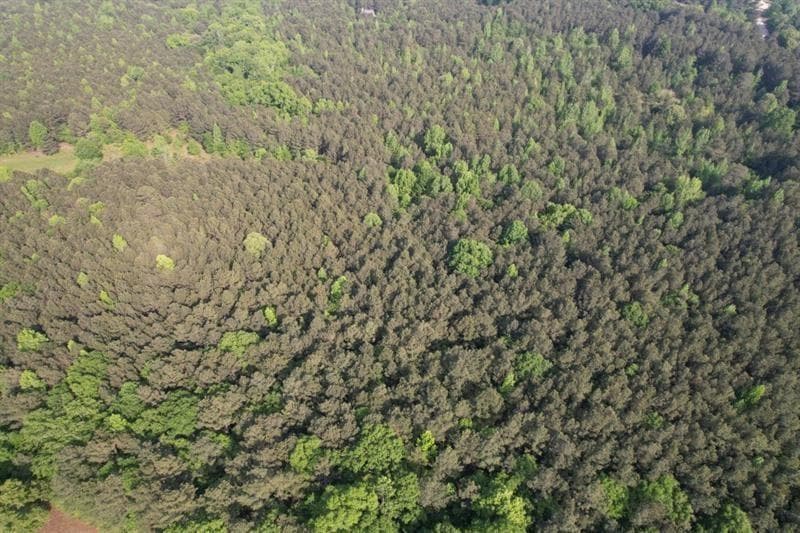 unimproved land for sale at 1458 Pitts Chapel Road, Newborn, GA 30056 — photo 10