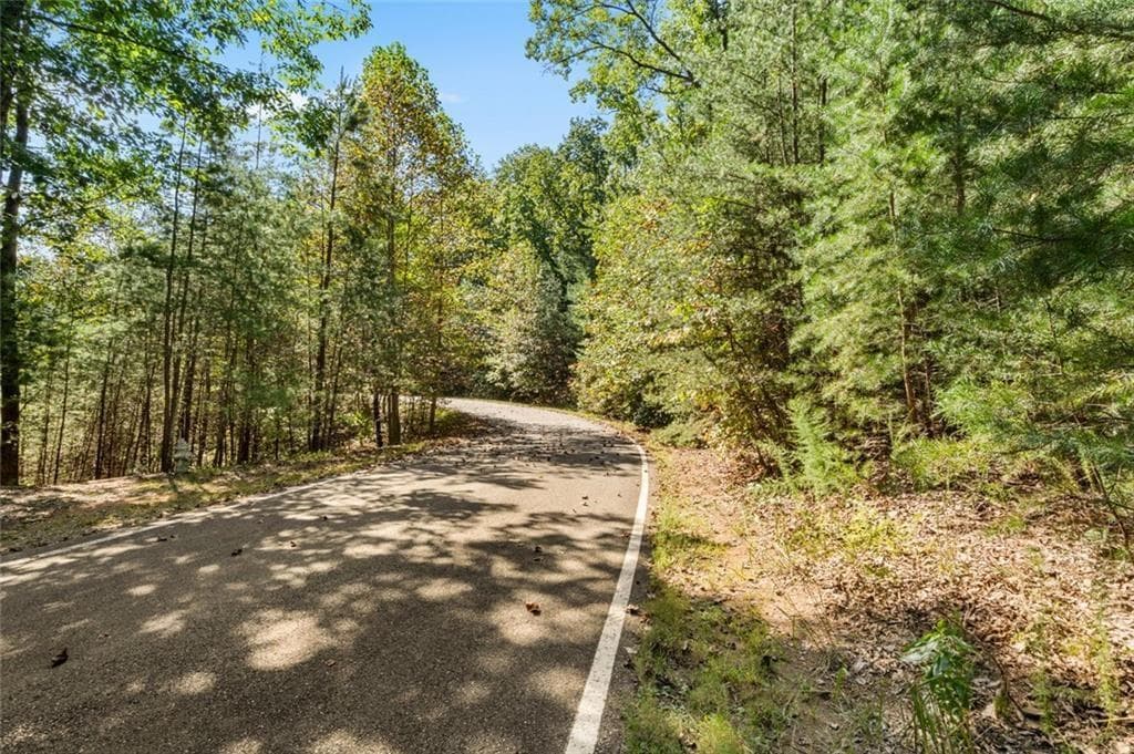 unimproved land for sale at 288 Blazingstar Trail, Big Canoe, GA 30143 — photo 1 of 18