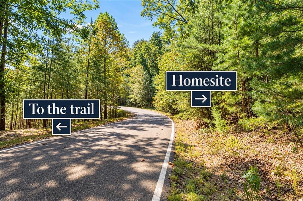 unimproved land for sale at 288 Blazingstar Trail, Big Canoe, GA 30143 — photo 2