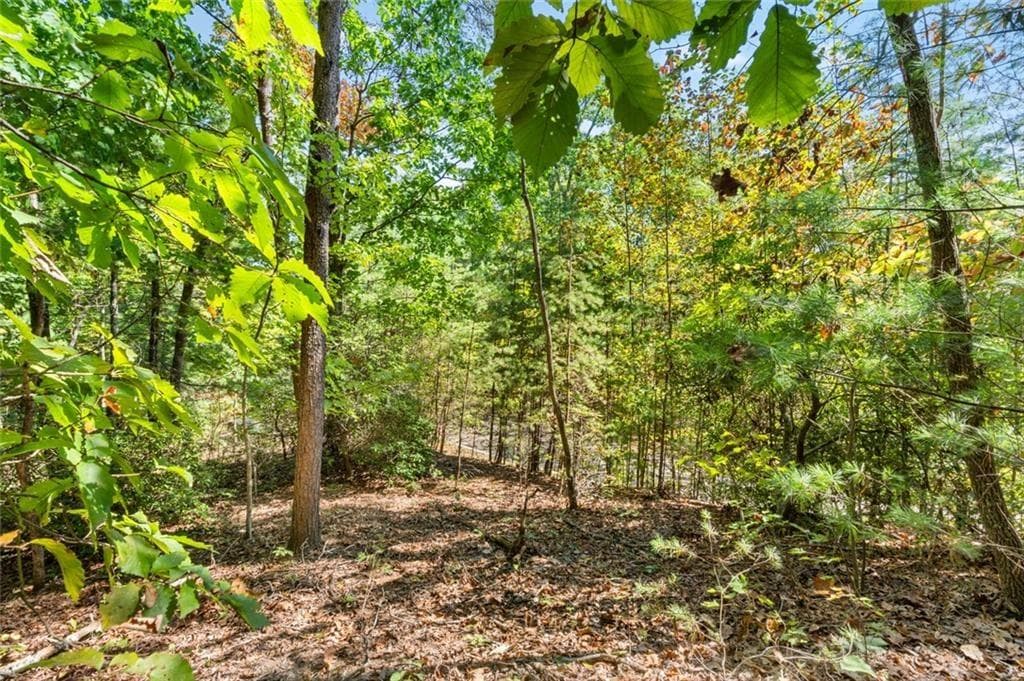 unimproved land for sale at 288 Blazingstar Trail, Big Canoe, GA 30143 — photo 3