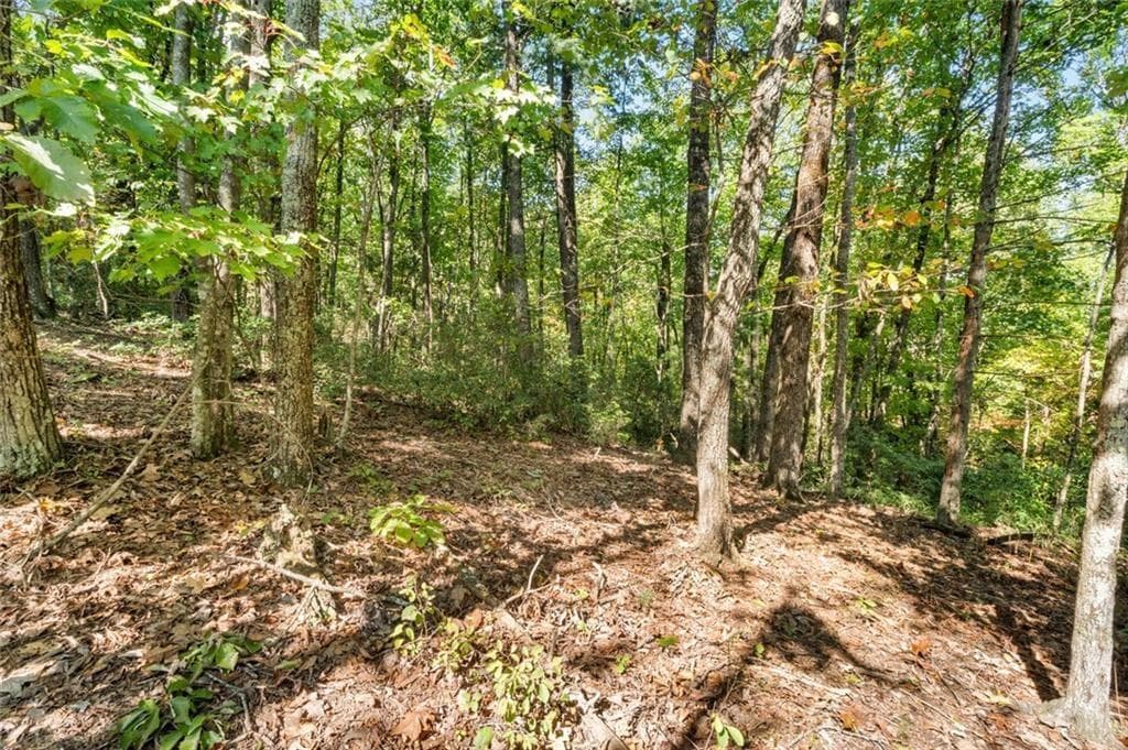 unimproved land for sale at 288 Blazingstar Trail, Big Canoe, GA 30143 — photo 4