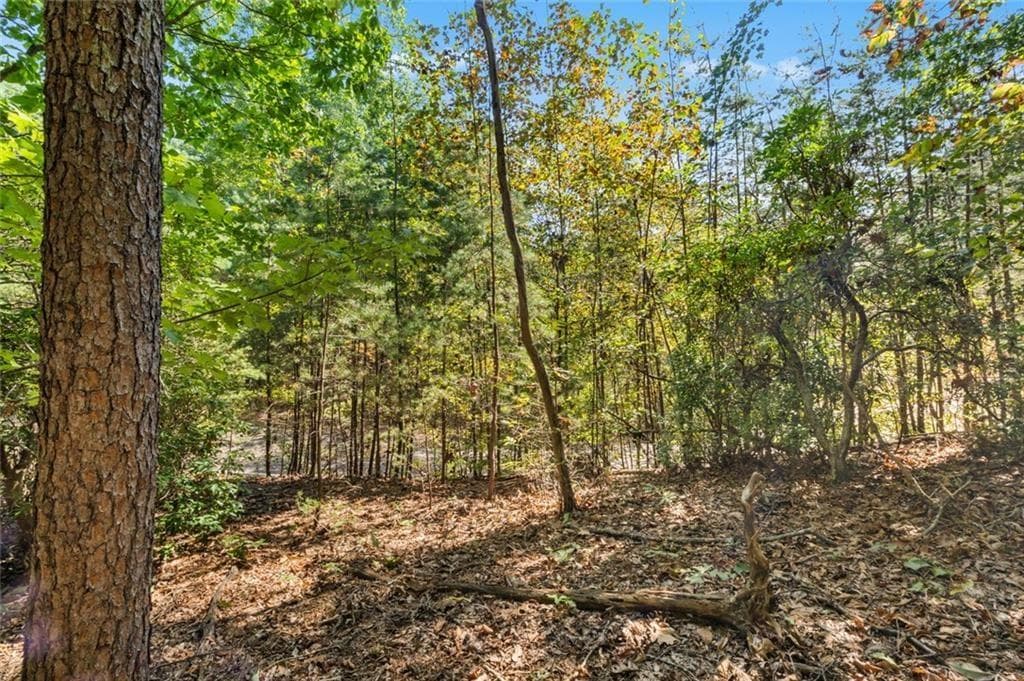 unimproved land for sale at 288 Blazingstar Trail, Big Canoe, GA 30143 — photo 5