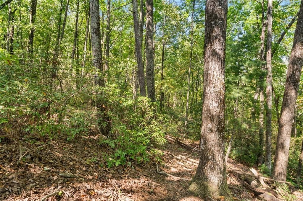 unimproved land for sale at 288 Blazingstar Trail, Big Canoe, GA 30143 — photo 6