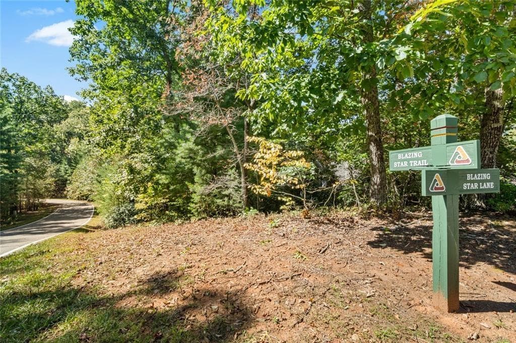 unimproved land for sale at 288 Blazingstar Trail, Big Canoe, GA 30143 — photo 7