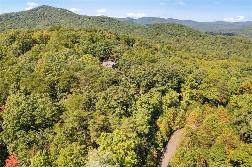 unimproved land for sale at 288 Blazingstar Trail, Big Canoe, GA 30143 — photo 8