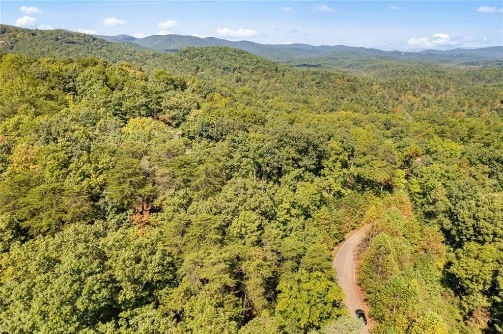 unimproved land for sale at 288 Blazingstar Trail, Big Canoe, GA 30143 — photo 9
