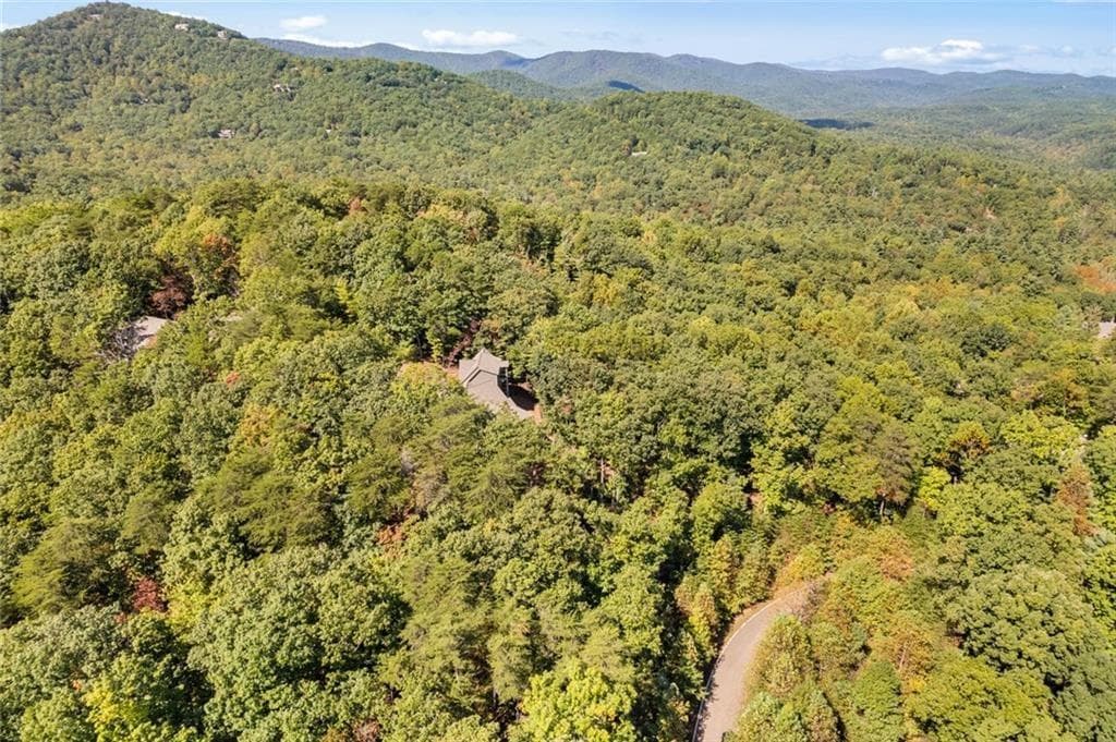 unimproved land for sale at 288 Blazingstar Trail, Big Canoe, GA 30143 — photo 10
