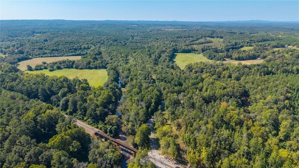 unimproved land for sale at 702 Liner Road, Tallapoosa, GA 30176 — photo 2