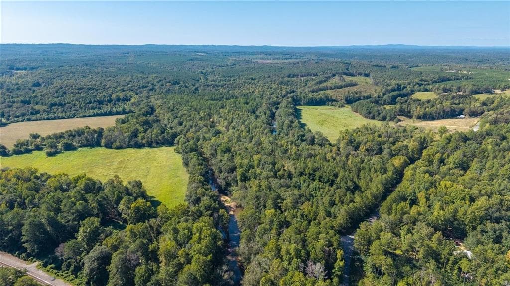 unimproved land for sale at 702 Liner Road, Tallapoosa, GA 30176 — photo 5