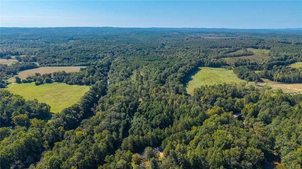 unimproved land for sale at 702 Liner Road, Tallapoosa, GA 30176 — photo 6