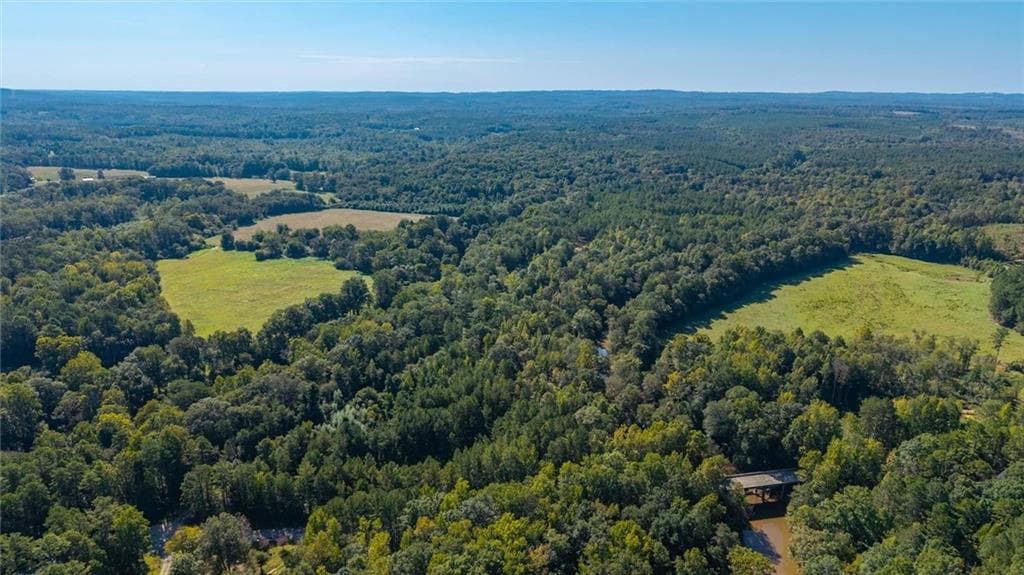 unimproved land for sale at 702 Liner Road, Tallapoosa, GA 30176 — photo 7