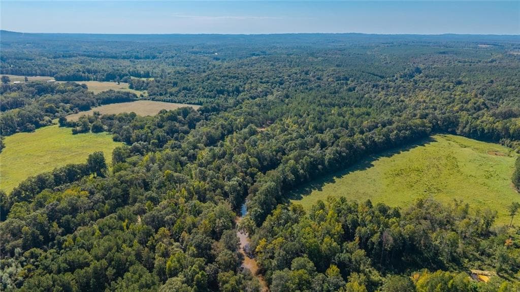 unimproved land for sale at 702 Liner Road, Tallapoosa, GA 30176 — photo 8