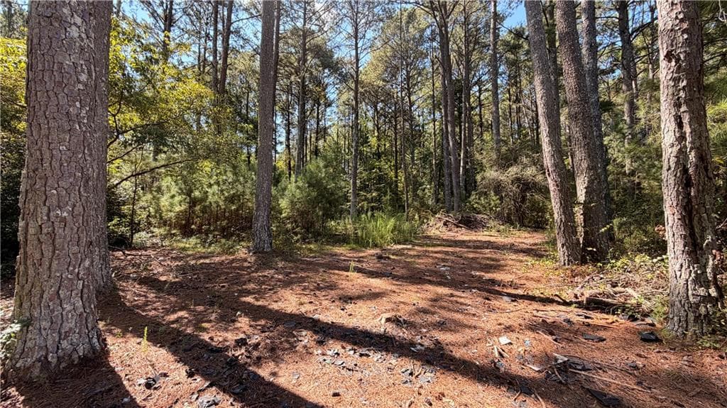 6 bedroom, 5 bathroom, 2,849 sq ft single family residence for sale at 2601 Gees Mill Road, Conyers, GA 30013 — photo 7