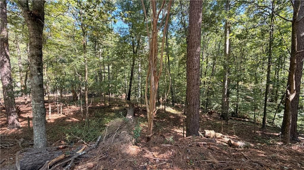 6 bedroom, 5 bathroom, 2,849 sq ft single family residence for sale at 2601 Gees Mill Road, Conyers, GA 30013 — photo 8