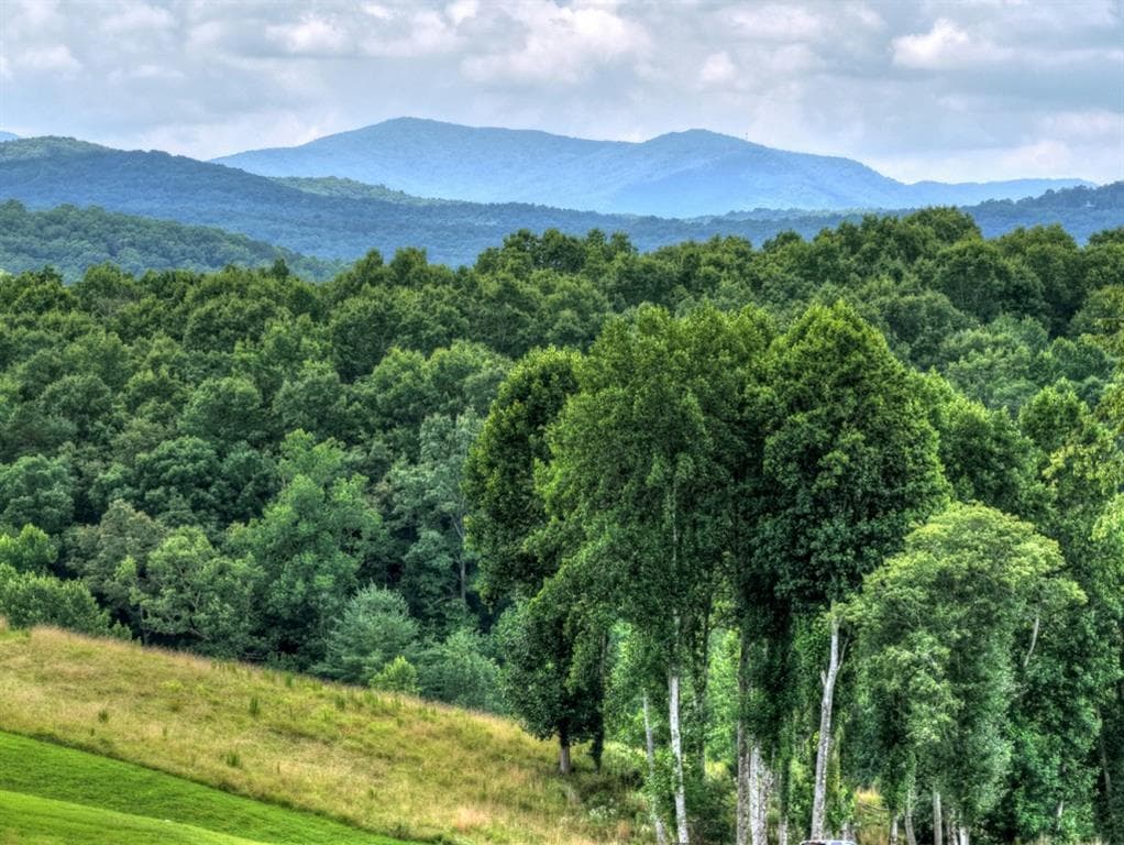 other for sale at LOT 42 Big Valley Overlook, Morganton, GA 30560 — photo 7